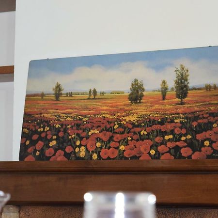 몬테로니다르비아 Casa Groppino 아파트 외부 사진
